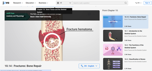 bilgilendirme-fractures-bone-repair-18-07-2025-r.png