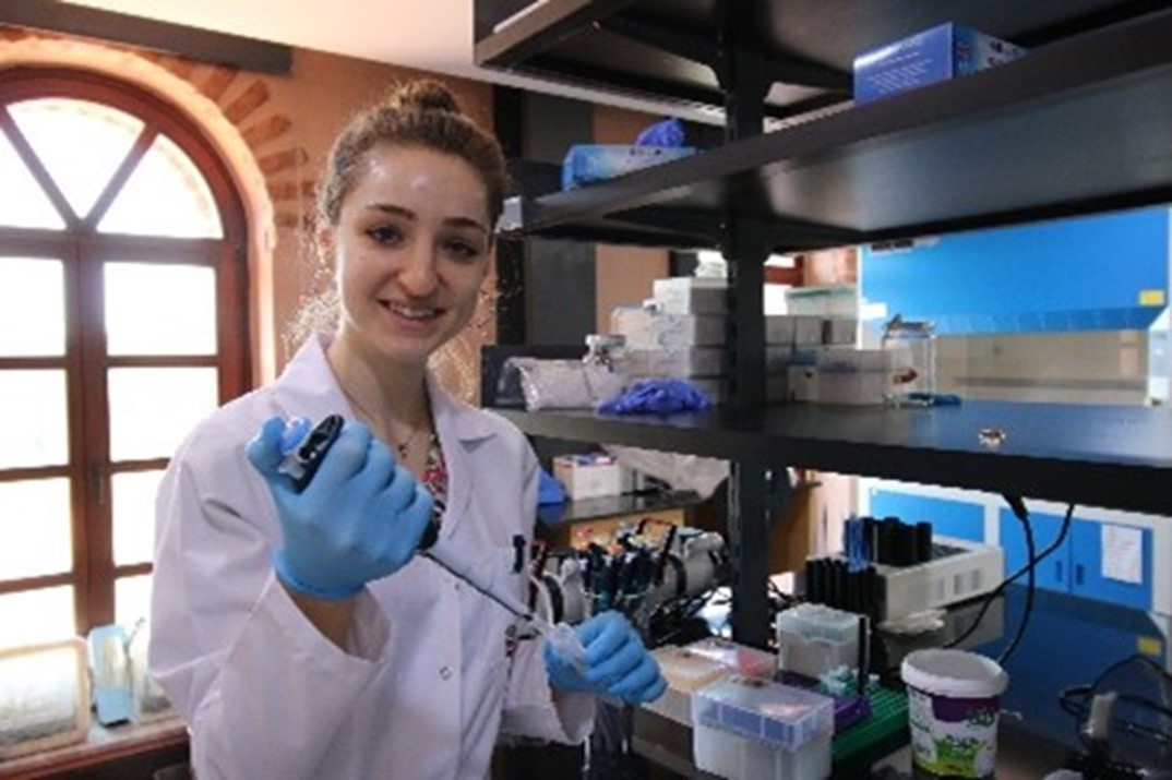 rafiq-lab-10-06-2026-r11.jpg