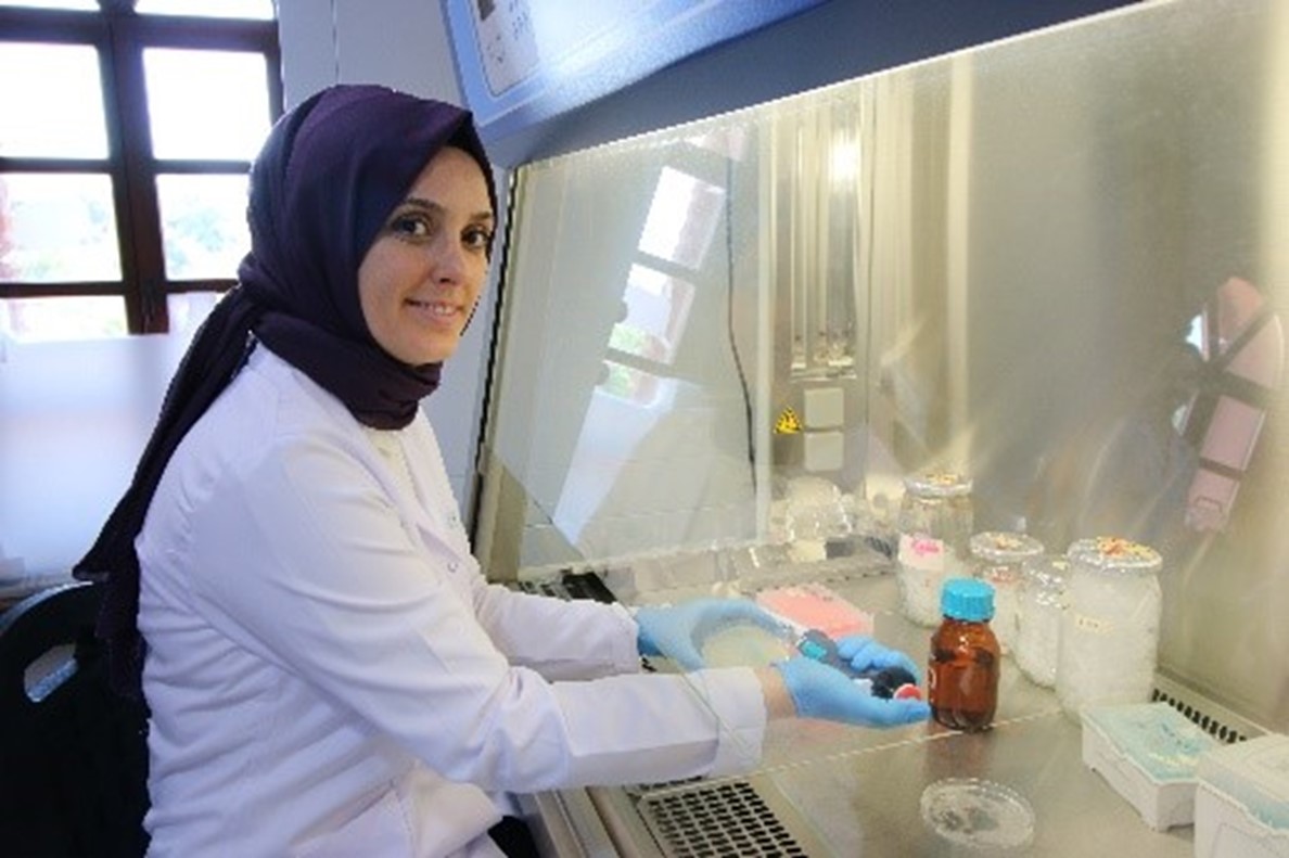 rafiq-lab-10-06-2026-r14.jpg