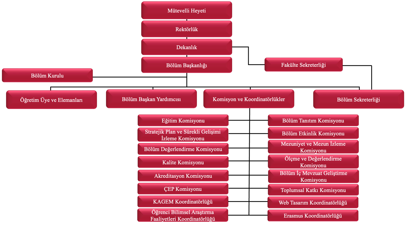 organizsyonsemasi.png