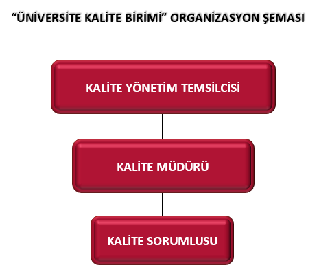 kalite-org-semasi-22-11-2024.png