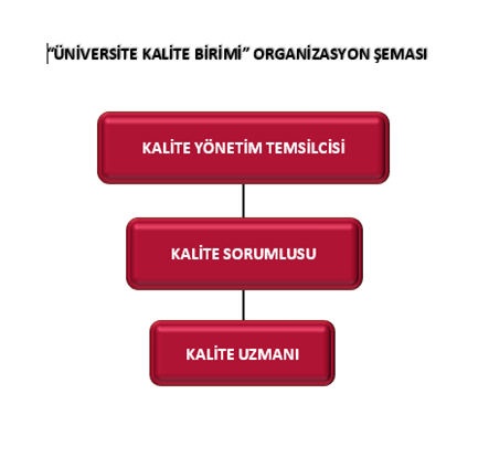 kalite-org-semasi.png